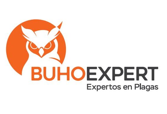 buhoexpert