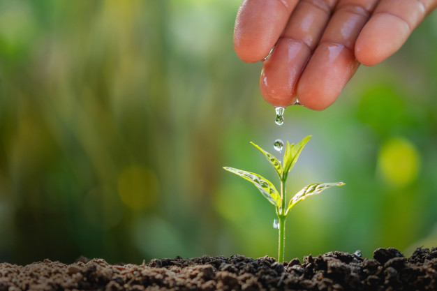 mano-agricultor-regando-pequena-planta-fondo-jardin_34152-2007